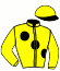 casaque portée par Legras G. jockey du cheval de course LA MAZZI GOGO, information pmu ZETURF casaque portée par Legras G. jockey du cheval de course LA MAZZI GOGO, information pmu ZETURF