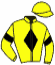 casaque portée par Hardouin E. jockey du cheval de course PELUSIVE, information pmu ZETURF