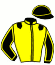 casaque portée par Vanmeerbeck J. jockey du cheval de course LE CAP, information pmu ZETURF casaque portée par Vanmeerbeck J. jockey du cheval de course LE CAP, information pmu ZETURF