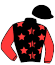 casaque portée par Marie J. M. jockey du cheval de course MAGIC WELL, information pmu ZETURF casaque portée par Marie J. M. jockey du cheval de course MAGIC WELL, information pmu ZETURF