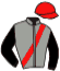 casaque portée par Champenois Mat. jockey du cheval de course IQUEM NARCY, information pmu ZETURF