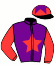 casaque portée par Guyon M. jockey du cheval de course MANUSCRIPT, information pmu ZETURF casaque portée par Guyon M. jockey du cheval de course MANUSCRIPT, information pmu ZETURF