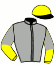 casaque portée par Raffin E. jockey du cheval de course AMORNERO ROC, information pmu ZETURF