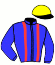 casaque portée par Barrier A. jockey du cheval de course DIRECT WAY (FR), information pmu ZETURF casaque portée par Barrier A. jockey du cheval de course DIRECT WAY (FR), information pmu ZETURF