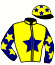 casaque portée par Duvaldestin C. jockey du cheval de course FALCAO DE LAURMA, information pmu ZETURF