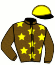 casaque portée par Lecanu F. jockey du cheval de course DE LA CHENEVIERE (FR), information pmu ZETURF casaque portée par Lecanu F. jockey du cheval de course DE LA CHENEVIERE (FR), information pmu ZETURF