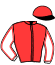 casaque portée par Raffin E. jockey du cheval de course ELITE SAN LEANDRO (FR), information pmu ZETURF casaque portée par Raffin E. jockey du cheval de course ELITE SAN LEANDRO (FR), information pmu ZETURF