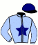casaque portée par Desmigneux F. jockey du cheval de course GRINGO SAVA, information pmu ZETURF