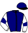 casaque portée par Lenoir A. jockey du cheval de course FALCO DES ROCHERS (FR), information pmu ZETURF