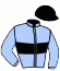 casaque portée par Lecanu F. jockey du cheval de course FRANKLIN DE MESLAY (FR), information pmu ZETURF