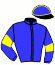 casaque portée par Robin B. jockey du cheval de course RIBAUDE (SE), information pmu ZETURF