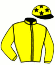 casaque portée par Abrivard M. jockey du cheval de course DERBY DU DOLLAR (FR), information pmu ZETURF