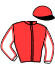 casaque portée par Baudouin L. jockey du cheval de course ELITE SAN LEANDRO (FR), information pmu ZETURF