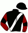 casaque portée par Lebourgeois Y. jockey du cheval de course UPSET FACE (SE), information pmu ZETURF