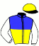 casaque portée par Ouvrie F. jockey du cheval de course HYACINTHE DAXEL (FR), information pmu ZETURF