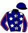 casaque portée par Prat Ale. jockey du cheval de course WILD LOVE (SE), information pmu ZETURF
