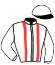 casaque portée par Parling D. jockey du cheval de course GLOBAL UN POCO (SE), information pmu ZETURF