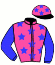 casaque portée par Poutier Th. jockey du cheval de course DINO DU BOURG (FR), information pmu ZETURF