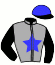 casaque portée par Letonturier F. jockey du cheval de course IDYLLIANE (FR), information pmu ZETURF