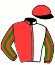 casaque portée par Mottier M. jockey du cheval de course BUZZER BEATER (SE), information pmu ZETURF