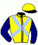 casaque portée par Raffin E. jockey du cheval de course INFINITY JET (FR), information pmu ZETURF