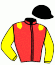 casaque portée par Delaunay Et. jockey du cheval de course HANDEL TURGOT, information pmu ZETURF
