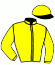 casaque portée par Monclin J. Ph. jockey du cheval de course MALIKA VRIJTHOUT (BE), information pmu ZETURF