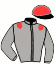 casaque portée par Barrier A. jockey du cheval de course INSULA PERRINE (FR), information pmu ZETURF