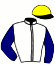 casaque portée par Ernault S. jockey du cheval de course CASH MAKER, information pmu ZETURF