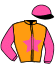 casaque portée par Le Beller T. jockey du cheval de course GANNCHERI (FR), information pmu ZETURF