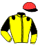 casaque portée par Raffin E. jockey du cheval de course IT'S A DOLLARMAKER (FR), information pmu ZETURF