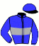 casaque portée par Thomain D. jockey du cheval de course JASPERS TURGOT, information pmu ZETURF