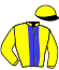casaque portée par Derieux R. jockey du cheval de course NICE PRESENT, information pmu ZETURF