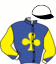 casaque portée par Gelormini G. jockey du cheval de course CASH BANK BIGI, information pmu ZETURF