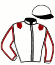 casaque portée par Nivard F. jockey du cheval de course HORIZON DE BRY, information pmu ZETURF