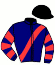 casaque portée par Lemonnier Mlle J. jockey du cheval de course FAN DE PHYT'S, information pmu ZETURF