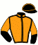 casaque portée par Abrivard M. jockey du cheval de course INFANT DU LOIR, information pmu ZETURF