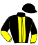 casaque portée par Boutin Mat. jockey du cheval de course FOUDROYANT MEAULNE, information pmu ZETURF