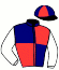 casaque portée par Mme Boudier-cormy V. jockey du cheval de course ERWINN DE BEAUM, information pmu ZETURF
