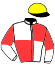 casaque portée par Abrivard A. jockey du cheval de course IZIA DE MONGIVAL, information pmu ZETURF