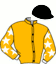 casaque portée par Untersteiner Joh. jockey du cheval de course TOTO BAROSSO, information pmu ZETURF