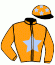 casaque portée par Desmottes A. jockey du cheval de course JASON GINYU, information pmu ZETURF