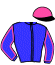 casaque portée par Ploquin P. Ph. jockey du cheval de course INOUIE, information pmu ZETURF