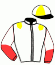 casaque portée par Gelormini G. jockey du cheval de course DYLAN DOG FONT, information pmu ZETURF