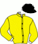 casaque portée par Ouvrie F. jockey du cheval de course DIAMANTE FKS, information pmu ZETURF