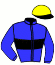 casaque portée par Abrivard M. jockey du cheval de course GREATMAN DE BUSSET, information pmu ZETURF
