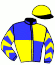 casaque portée par Martens C. jockey du cheval de course IRON PARKER, information pmu ZETURF