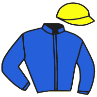 casaque portée par Lebourgeois Y. jockey du cheval de course CRUISE, information pmu ZETURF casaque portée par Lebourgeois Y. jockey du cheval de course CRUISE, information pmu ZETURF