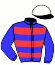 casaque portée par Allais P. M. jockey du cheval de course GEISHA D'ARBAZ, information pmu ZETURF casaque portée par Allais P. M. jockey du cheval de course GEISHA D'ARBAZ, information pmu ZETURF