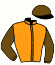 casaque portée par Abrivard M. jockey du cheval de course DARDO ZACK, information pmu ZETURF